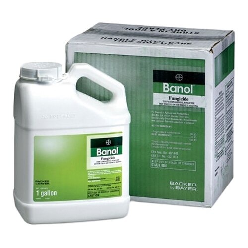 Banol Fungicide 2.5 gal. (Agency) | SiteOne